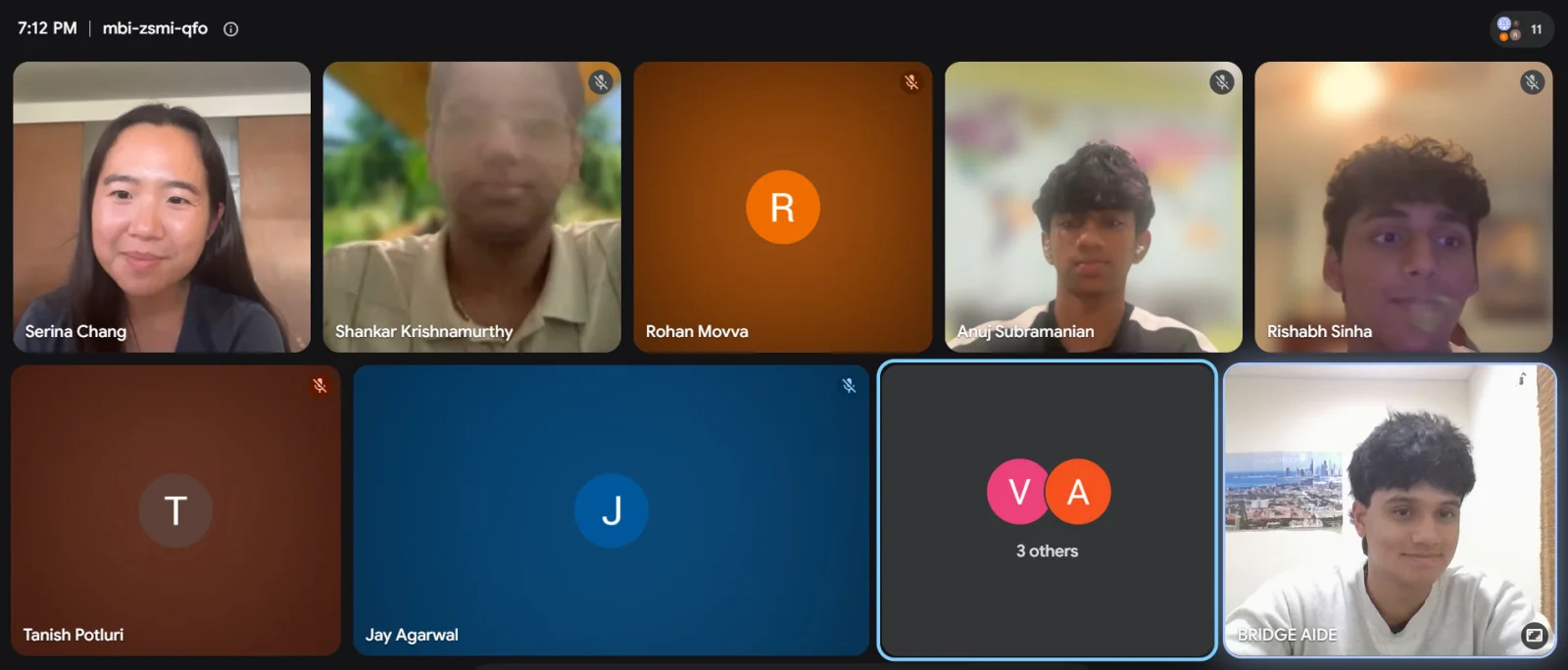 Professor Serina Chang and workshop participants join the virtual discussion.
